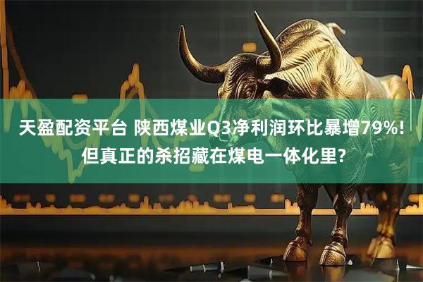 天盈配资平台 陕西煤业Q3净利润环比暴增79%! 但真正的杀招藏在煤电一体化里?