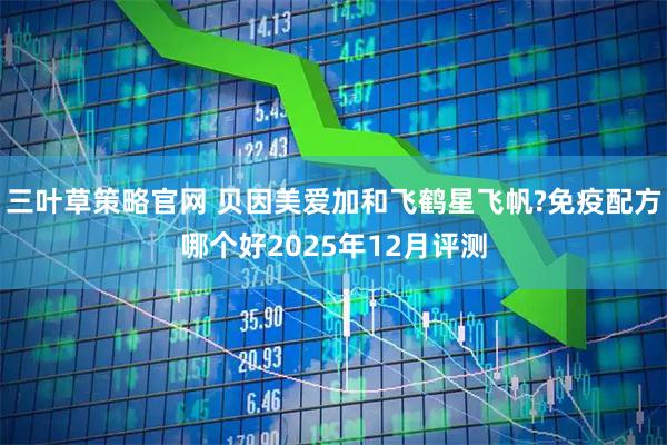 三叶草策略官网 贝因美爱加和飞鹤星飞帆?免疫配方哪个好2025年12月评测
