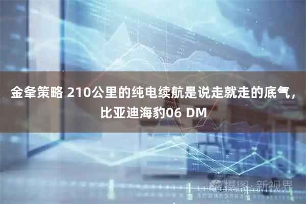 金夆策略 210公里的纯电续航是说走就走的底气，比亚迪海豹06 DM